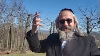 בית המדרש הווירטואלי עמוד מוהר"ן מתוך לימוד ה'עמוד היומי' ליקוטי מוהר"ן קז עמוד א' תורות: קסד- קסט (הרב מוטה פראנק) - התמונה מוצגת ישירות מתוך אתר האינטרנט יוטיוב. זכויות היוצרים בתמונה שייכות ליוצרה. קישור קרדיט למקור התוכן נמצא בתוך דף הסרטון