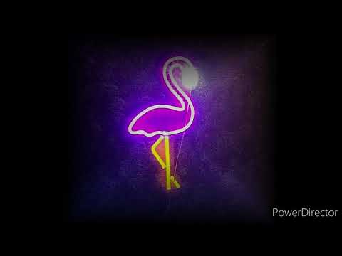 KASH TWINS × HUSKII × SALTY - WOLLONGONG