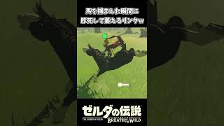 【ブレワイ】馬が即死して萎えるリンク【ゼルダの伝説 ブレス オブ ザ ワイルド】