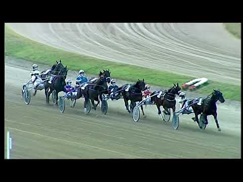 Napoli Trotto 30/05/2021 - 5ª corsa