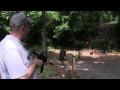 MP5