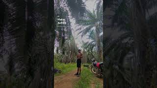 Download lagu Ikuti kata hati mu mp3