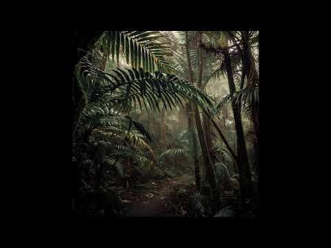 Made In M, SMUV - Old Roots New Trees