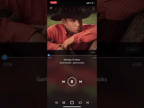 Whiskey to Wine - Garth Brooks