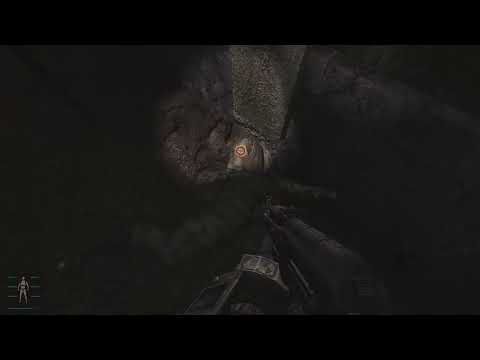 S.T.A.L.K.E.R. Anomaly EFP SE #113