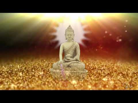 BUDDHA MUSIC || Âm nhạc Phật giáo [ Official Nam Chung MV ]