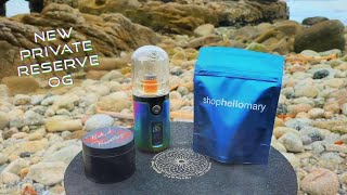 NEW SHOP HELLO MARY SESH! Nothing for sale!