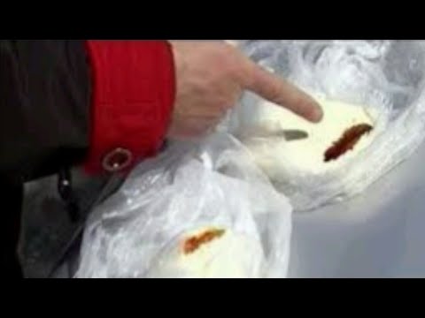 Nuk iu mashtrojnë dot më, mësoni si të zbuloni nëse..