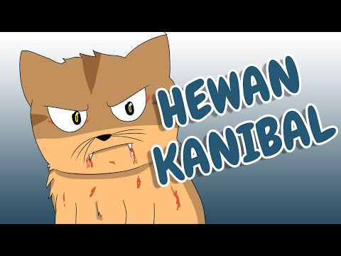 anak-kucing-dan-kucing-kanibal