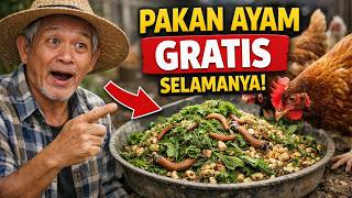 Download lagu REVEALED! How to Get FREE Chicken Feed for Life (No Need to Buy Commercial Feed!) mp3