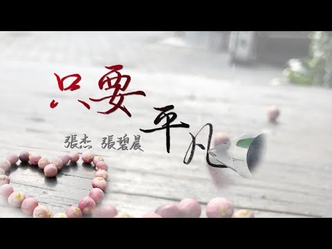 張杰/張碧晨 - 只要平凡-電影《我不是藥神》主題曲-歌詞版-五瓶手寫MV