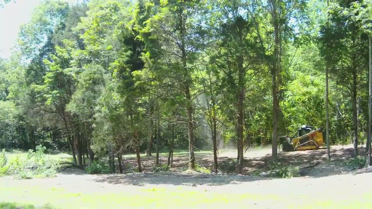 Forestry Mulching Time Lapse