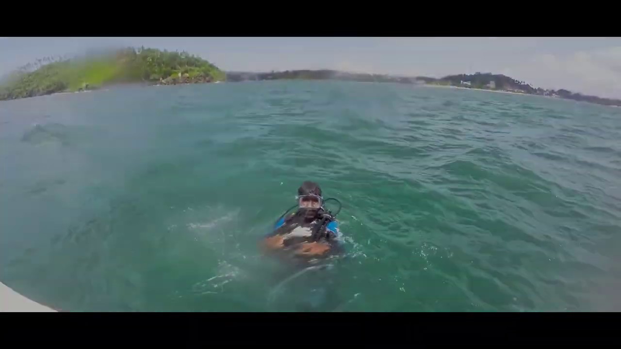 Experience a captivating glimpse of Scuba Diving adventure.