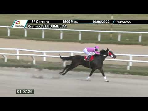 220610 c03 - AMANDA - HIPODROMO LAS PIEDRAS - STUD Luis Felipe y Josefina