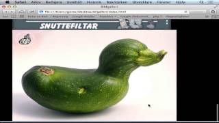 Bildgalleri Bildgalleri