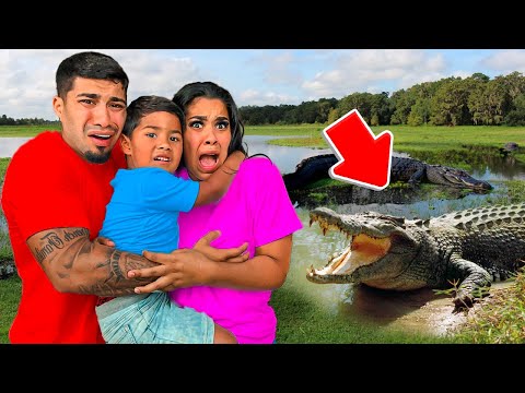 Alligator Attacked Us!