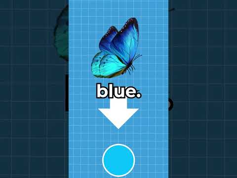 Why Is The Color Blue So Rare In Nature? 🤔 #shorts #viral