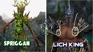 Skyrim mods SAM Lich King Armor, Kathy and Summon Spriggan