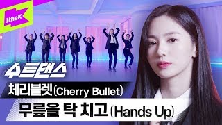 Download lagu 체리블렛 언니들…수트까지 잘 어울리는건 반칙아닌가요😮 | Cherry Bullet _ 무릎을 탁 치고(Hands Up) | 수트댄스 | Suit Dance mp3 Download lagu 체리블렛 언니들…수트까지 잘 어울리는건 반칙아닌가요😮 | Cherry Bullet _ 무릎을 탁 치고(Hands Up) | 수트댄스 | Suit Dance mp3