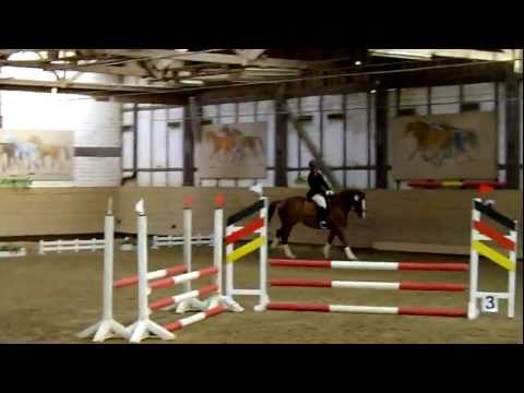 Heiderose vom Liebetal - Eignungsprüfung Bad Arolsen 14.05.11