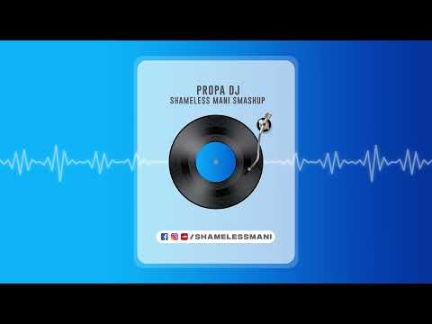 Propa DJ - Shameless Mani Smashup | Viral Reel Song | 150 Gang