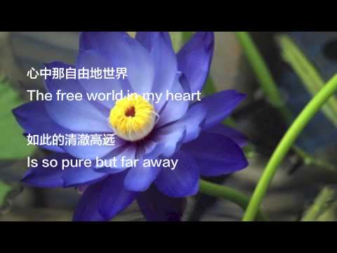 蓝莲花The Blue Lotus LYRICS (English+Mandarin subtitles) －许巍