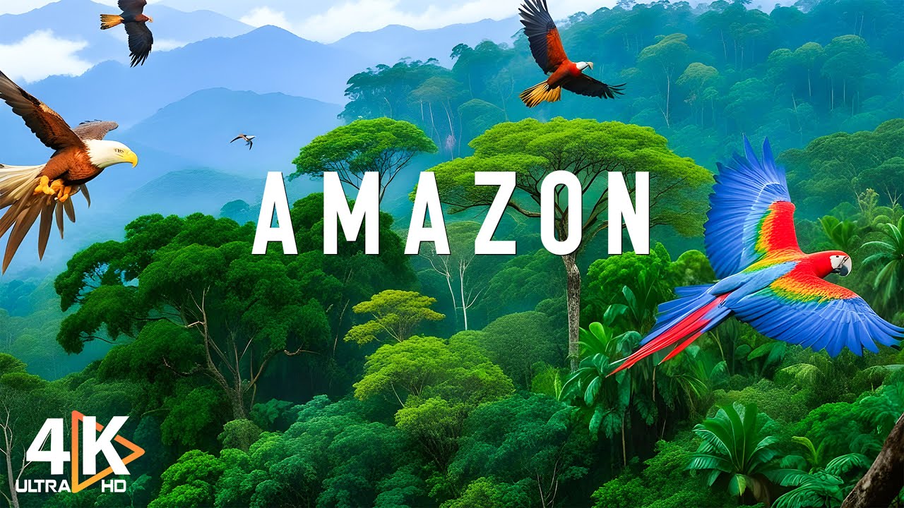 Amazon 4k | The World’s Largest Tropical Rainforest | Relaxation Film with Calming Music - VIDEO 4K