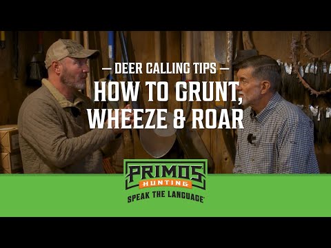 Deer Calling Tips - When And How To Grunt Roar And Wheeze