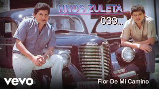 Flor De Mi Camino Lyrics English Translation
