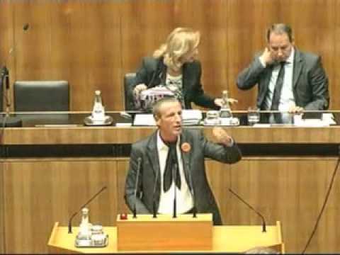 BZÖ-NRAbg. Stefan Petzner: Die wahren Ursachen für die Notverstaatlichung der Hypo Alpe Adria