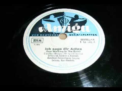 Ich sage dir Adieu oder    JUST WALKING IN THE RAIN