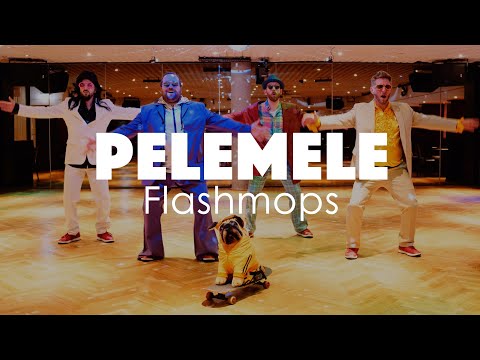 Flashmops Shirt Butter - Unser Superstar: Der Flashmops (Video 1)