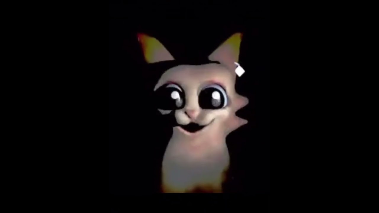 #car #cat #funny #memes #meme #shorts