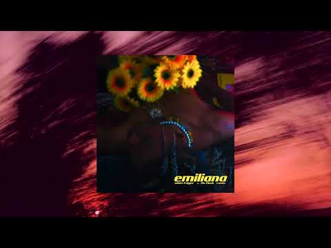 Ckay - Emiliana (Adam trigger & Flo Dosh remix)