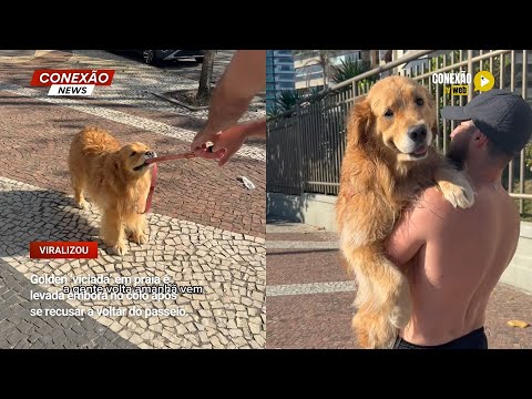 Vídeo: Golden ‘viciada’ em praia é levada embora no colo após se recusar a voltar do passeio.