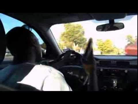 (Official Documentry Trailer) From The Mud