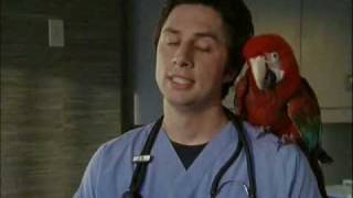It Was the Tape Recorder or the Parrot (Vo)