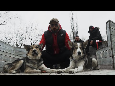 ALAWIE - Super Mario (Official Video)