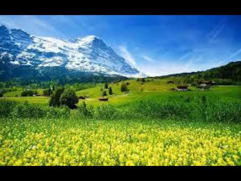 The Origin - Hvězdný prach