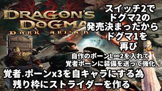 (23) DDDA ドラゴンズドグマダークアリズン