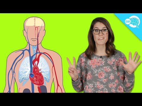 Does The Human Body Really Replace Itself Every 7 Years?