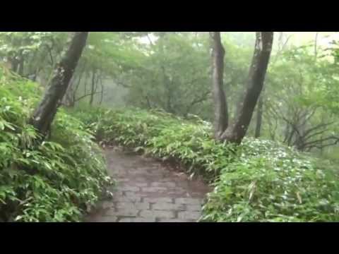 日光三名瀑　霧降ノ滝