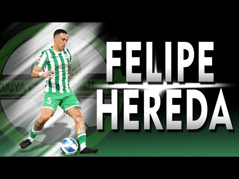 FELEPE HEREDA - DEFENSIVE MIDFIELDER - BUDAIYA CLUB