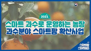 스마트 과수로 운영하는 제주 배또롱 감귤농장