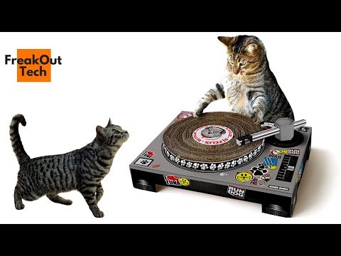 5 Awesome Inventions For Your Cat You Never Knew Existed Video