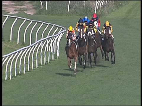 Galoppo 29/03/2016 - 4° corsa