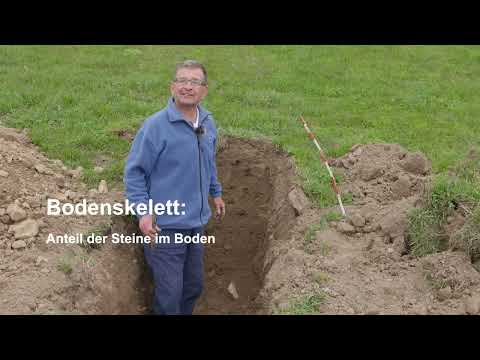 Kenne deinen Boden - Bodenbeurteilung am Beispiel eines Bodenprofils
