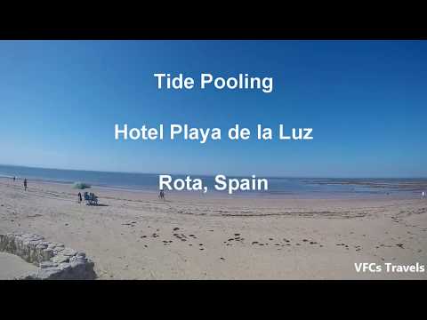 Beach Fun and Tidepooling at Hotel Playa de la Luz - Rota, Spain