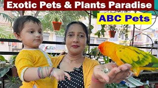 Today My Exotic Bird's are Going New Home | Exotic Birds in Uttarakhand
