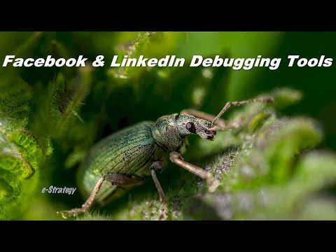 Facebook S Debugging Tool Linkedin S Post Inspector Tool